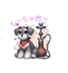 シーシャとミニチュアシュナウザーのわらび（個別スタンプ：5）