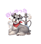 シーシャとミニチュアシュナウザーのわらび（個別スタンプ：31）