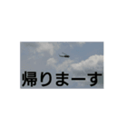 おもしろ動くスタンプ（個別スタンプ：8）