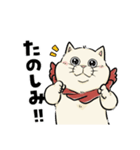 ねこの白玉（日常会話編）（個別スタンプ：11）