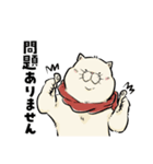 ねこの白玉（日常会話編）（個別スタンプ：16）