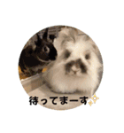 Minchopilan 6（個別スタンプ：8）