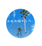 Minchopilan 6（個別スタンプ：10）