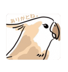 Minchopilan 6（個別スタンプ：28）