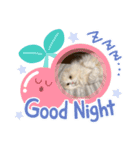 いやしのにゃんこⅢ（個別スタンプ：1）