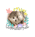 いやしのにゃんこⅢ（個別スタンプ：8）
