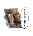MKホースパーク公式 第三弾（個別スタンプ：2）
