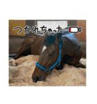 MKホースパーク公式 第三弾（個別スタンプ：8）