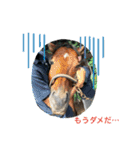 MKホースパーク公式 第三弾（個別スタンプ：9）