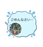 MKホースパーク公式 第三弾（個別スタンプ：10）
