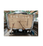 MKホースパーク公式 第三弾（個別スタンプ：12）