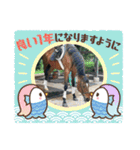 MKホースパーク公式 第三弾（個別スタンプ：22）