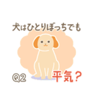 犬の豆知識クイズ！アニドネスタンプ（個別スタンプ：3）