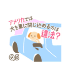 犬の豆知識クイズ！アニドネスタンプ（個別スタンプ：9）