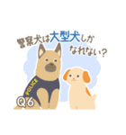 犬の豆知識クイズ！アニドネスタンプ（個別スタンプ：11）