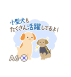 犬の豆知識クイズ！アニドネスタンプ（個別スタンプ：12）