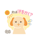 犬の豆知識クイズ！アニドネスタンプ（個別スタンプ：15）