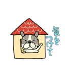 動くよ！！フレンチブルドッグ（個別スタンプ：7）