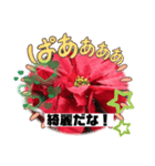 花スタンプ、yamami（個別スタンプ：1）