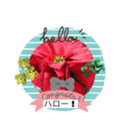 12月の花スタンプ、yamami（個別スタンプ：3）