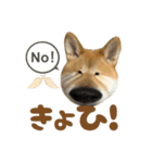 柴犬おいも3歳記念スタンプ（個別スタンプ：13）