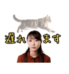 守護霊の猫（個別スタンプ：24）