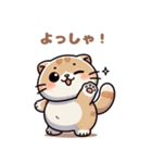 ぽっちゃりスコティッシュホールド（個別スタンプ：5）