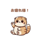 ぽっちゃりスコティッシュホールド（個別スタンプ：6）