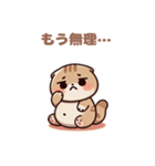 ぽっちゃりスコティッシュホールド（個別スタンプ：9）