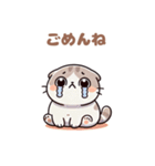 ぽっちゃりスコティッシュホールド（個別スタンプ：12）
