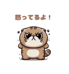 ぽっちゃりスコティッシュホールド（個別スタンプ：13）