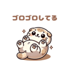 ぽっちゃりスコティッシュホールド（個別スタンプ：24）