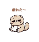ぽっちゃりスコティッシュホールド（個別スタンプ：25）
