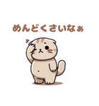 ぽっちゃりスコティッシュホールド（個別スタンプ：26）