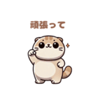 ぽっちゃりスコティッシュホールド（個別スタンプ：34）