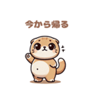 ぽっちゃりスコティッシュホールド（個別スタンプ：37）