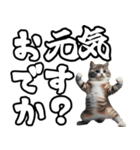 毎日使える日常会話☆デカ文字敬語☆猫ネコ（個別スタンプ：3）