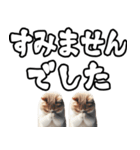 毎日使える日常会話☆デカ文字敬語☆猫ネコ（個別スタンプ：5）