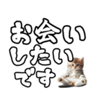 毎日使える日常会話☆デカ文字敬語☆猫ネコ（個別スタンプ：9）