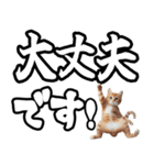 毎日使える日常会話☆デカ文字敬語☆猫ネコ（個別スタンプ：14）