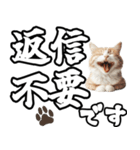 毎日使える日常会話☆デカ文字敬語☆猫ネコ（個別スタンプ：32）