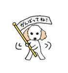 トイプードルのエイト！2（個別スタンプ：5）
