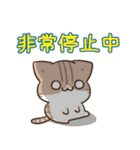 毎日五月病なねこたち ＆ カラフル（個別スタンプ：17）