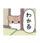 毎日五月病なねこたち ＆ カラフル（個別スタンプ：19）