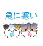 毎日五月病なねこたち ＆ カラフル（個別スタンプ：38）