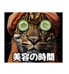 ◾️吾輩がネコ様であーる。（個別スタンプ：19）