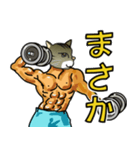 ストロング フィジーク キャット（個別スタンプ：14）