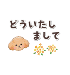 秋★トイプードル/再販（個別スタンプ：39）