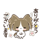 愛犬♡パピヨンdeご挨拶【秋から冬】（個別スタンプ：7）