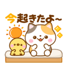 毎日連絡♡ねこねこにゃんこ（個別スタンプ：1）